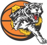 Willetton Tigers